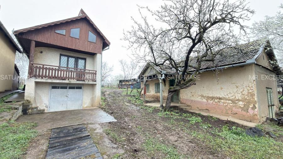 De vânzare 2 Case de vinificație cu Teren 4108 mp - Grădina Viilor - Carei - 2