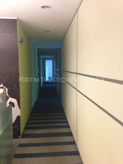 Banu Antonache Offices 40-44 - 4