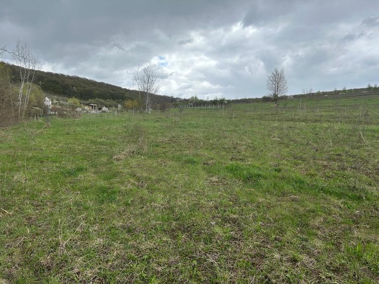 Vânzare 23 ari teren intravilan în Bozeni – Comuna Corunca