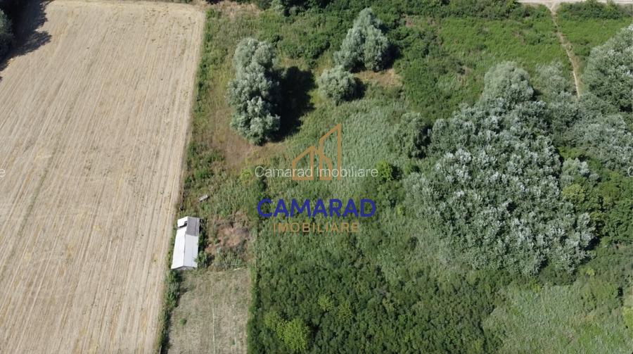 Teren de vânzare | Deschidere la Dunare | Băltenii de Sus, Com. Beștepe, Tulcea