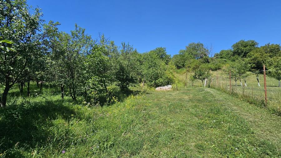 0 % comision, Lot format din 3 parcele, zona Antonio Gaudi-Borhanci