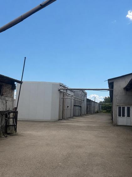 EXCLUSIVITATE | Hală industrială complet echipată | 1.605 mp utili