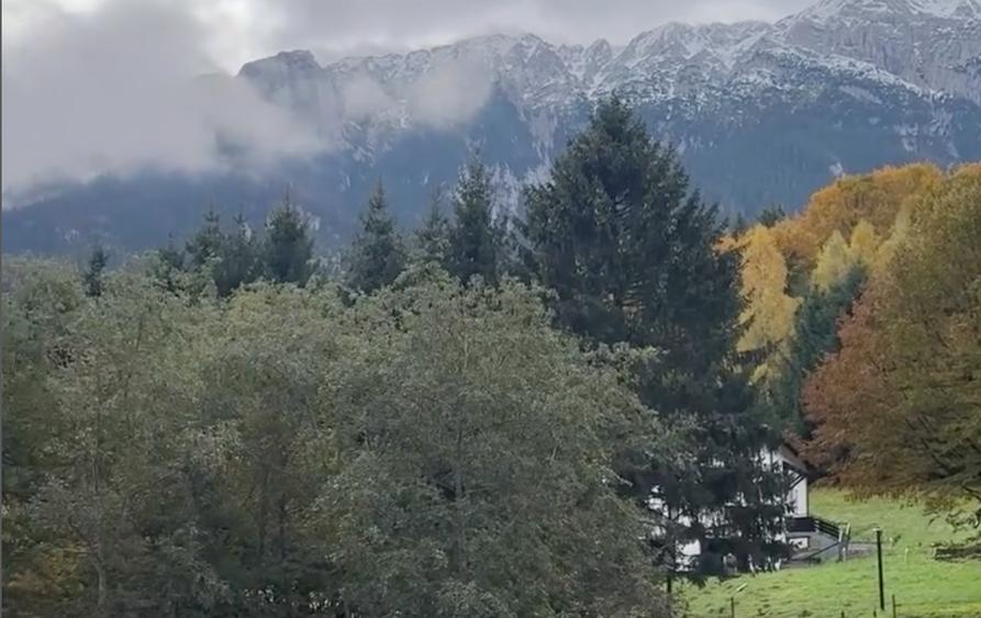 Vila de lux Brasov-Zarnesti-Piatra Craiului-Plaiul Foii, 2 HA, Gym sauna jacuzzi