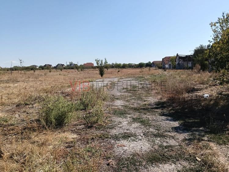 OPORTUNITATE DE INVESTIȚIE – PISCHIA, JUDEȚUL TIMIȘ