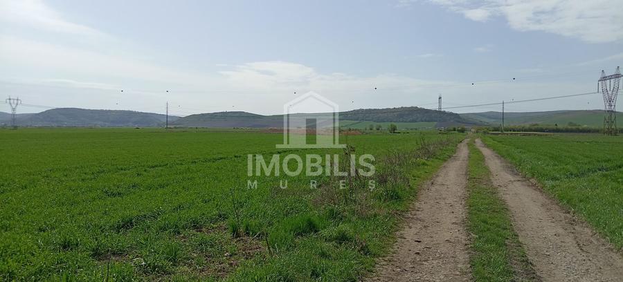 ‼️OPORTUNITATE DE INVESTIȚIE‼️ Teren Zona Ungheni | 44376 mp