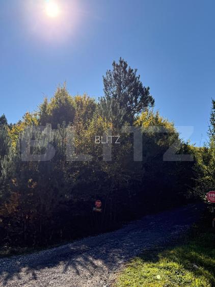 Teren intravilan, 2.000 mp, zona Geamana - Codlea