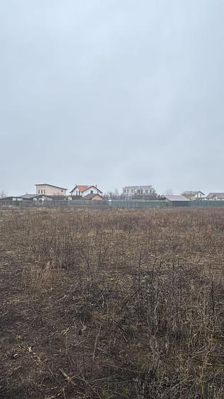 Teren Intravilan de vanzare
