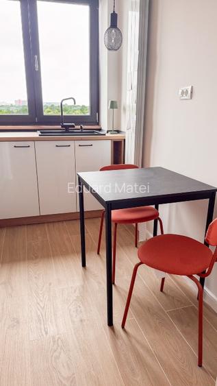 Apartament cu vedere panoramică la Parcul Tineretului - 15