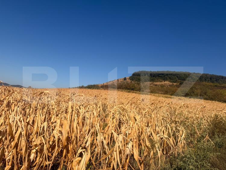 Teren intravilan cu panoramă asupra orașului și utilități complete