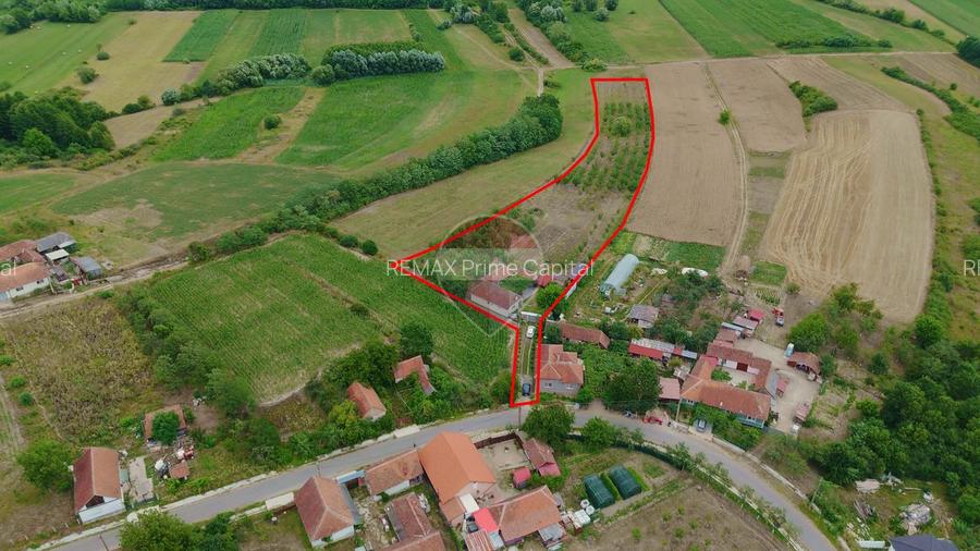 Casă cu 3 camere, complet renovată, teren 8.788 mp, Forosig - 13