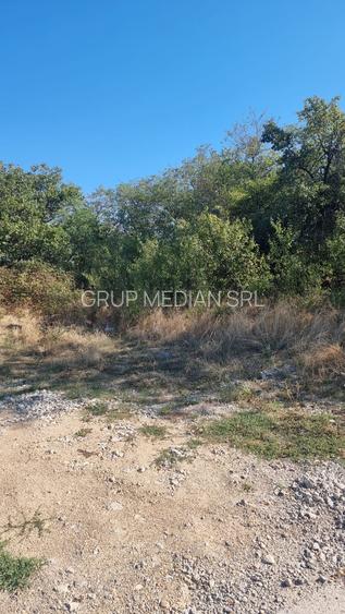 Teren intravilan 2.592 mp cu deschidere 70 ml la drum asfaltat - Budești - 2