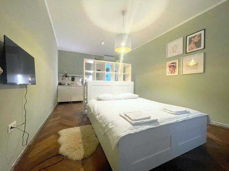 Apartament in Piata Unirii Timisoara