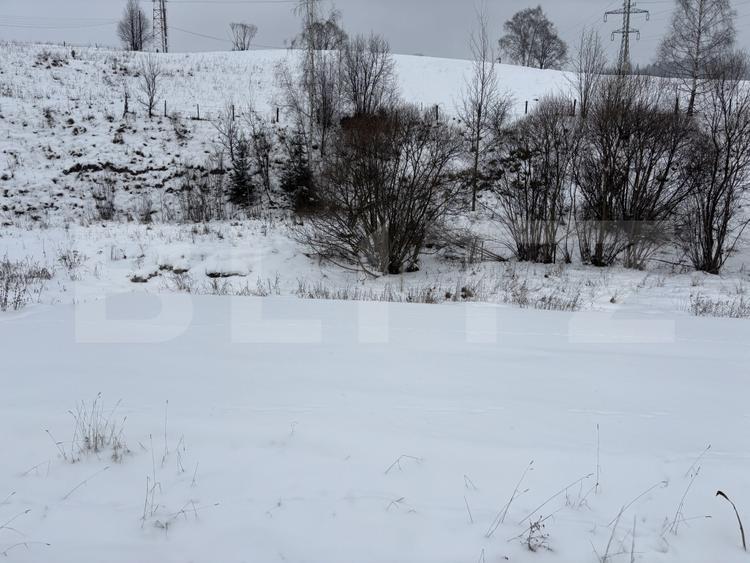 Teren intravilan de vanzare, 8163 mp - Vatra Dornei