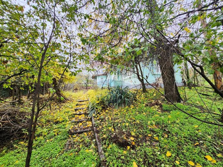 Teren 2200 mp + Casă, sat Frasinu, Giurgiu