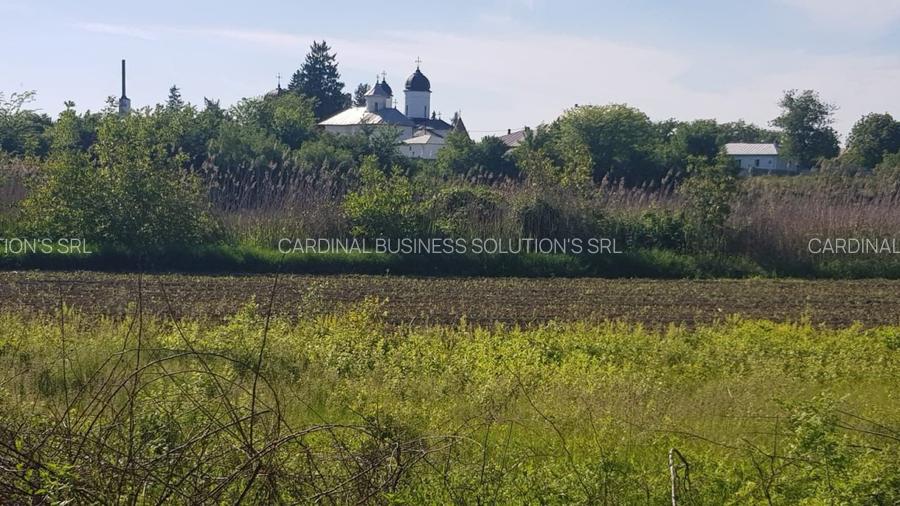 Ciolpani- Drumul Piscului patru loturi teren de la 896 mp pana la 977 mp - 2