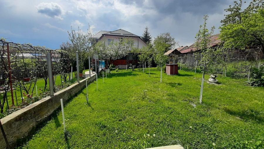 Casa moderna, foarte spatioasa, cu 1500 mp teren, în Dambul Rotund