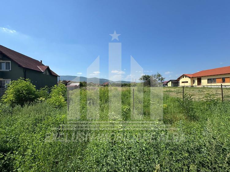 Teren intravilan | 4000 mp | 24.5 ml deschidere | Alba-Micesti
