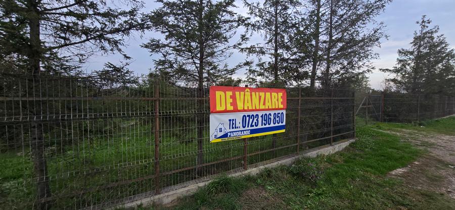 LIVADA DE VANZARE FOCSANI-DUMBRAVITA 1,8 HA