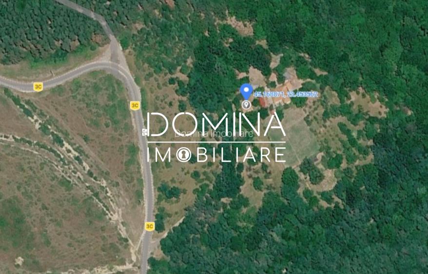 Teren generos 4790 mp + casă tradițională, în loc. Mușetești - 5