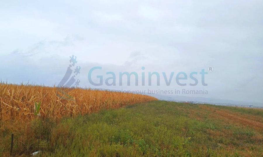 Teren intravilan de vanzare, la 1 minut de centura Osorhei, Alparea, Bihor