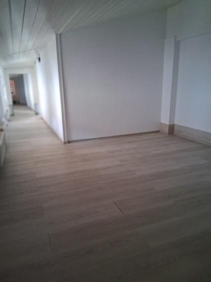 Vila D+P+M ideal firma, curte 5 masini, 5 min.metrou Tineretului