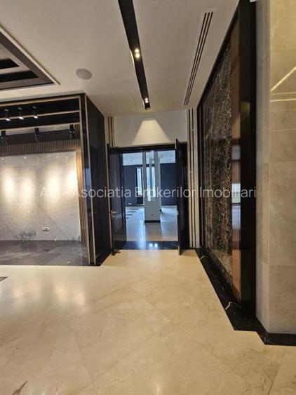 Herastrau Office Lux 357 sqm - 13