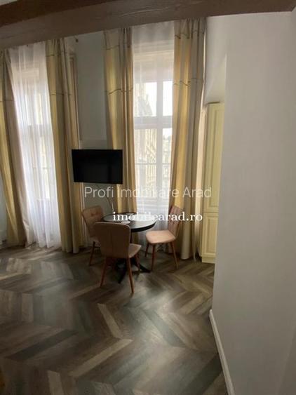 Apartament 60 Euro pe zi, amenajat in stil unic langa Primaria Arad - 18