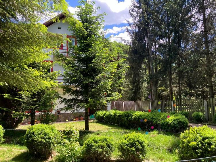 Vanzare Casa Timisul de Jos