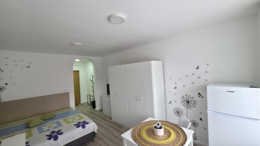 Garsonieră pet-friendly, utilități incluse, Str. București