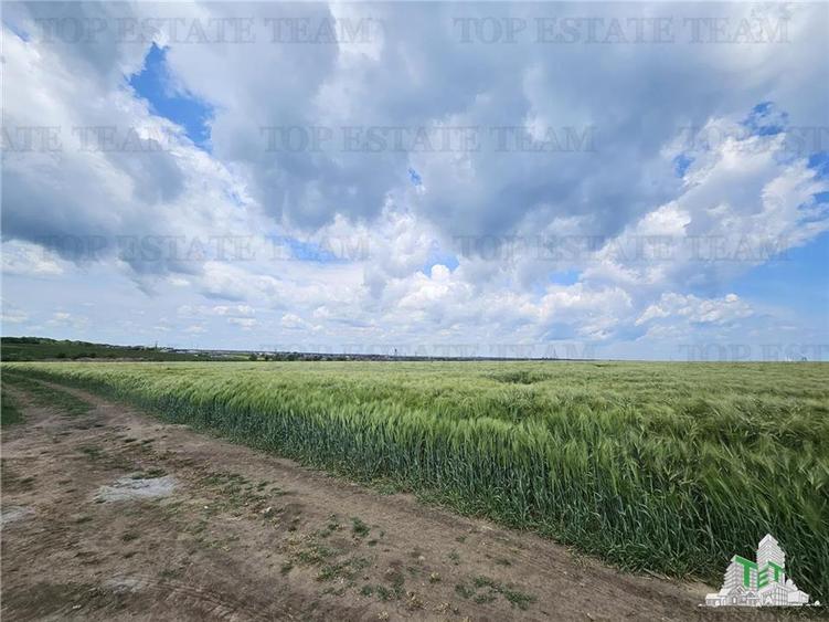TEREN INTRAVILAN 50000 MP AGIGEA ZONA RO RO