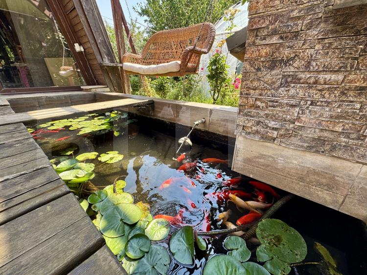 Casă de inchiriat, cu 4 dormitoare cu piscină, grătar, iaz și zonă de relaxare