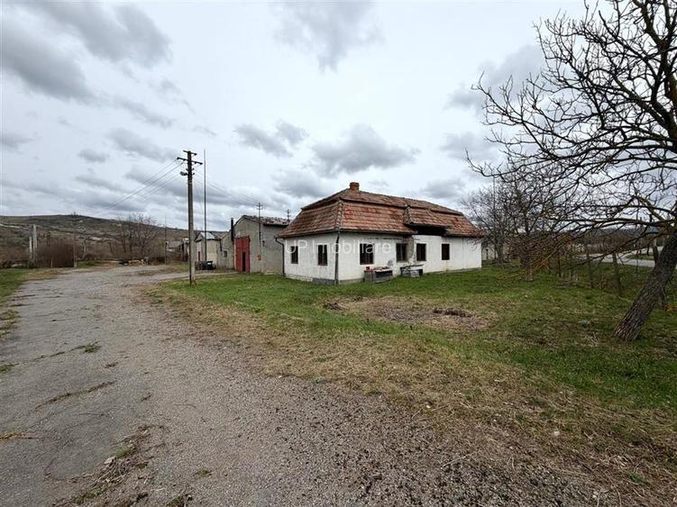 HALE INDUSTRIALE | CLADIRE BIROURI | TEREN 7000 MP | GHEGHIE BIHOR - 12