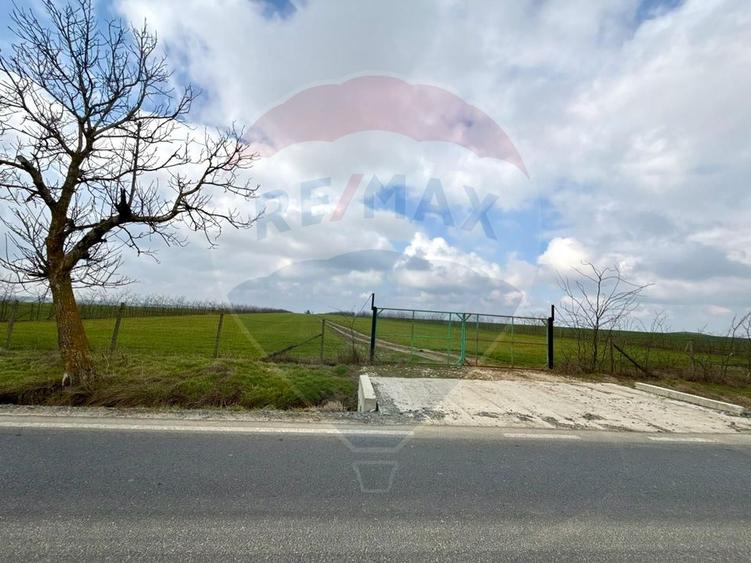 Teren de vanzare in Săcele ideal pentru silozuri, fermă 6 ha