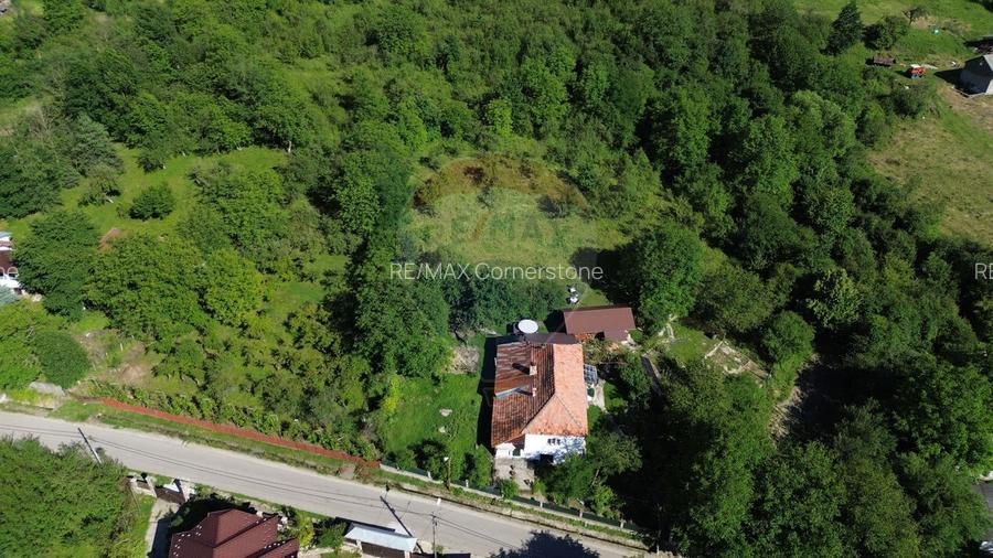 Casă de vânzare in natura la tara - Mihaesti - 8