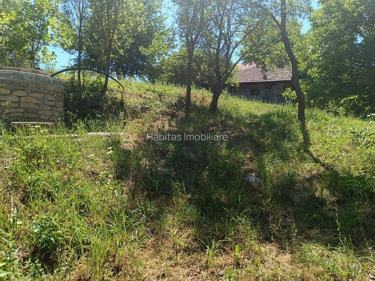 0 Comision Teren 1760 mp cu casa-Corusu, com Baciu, intravilan - 9