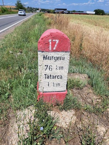Teren intravilan Tulucesti, 1000mp, 2 deschideri - 3
