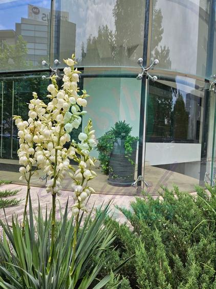Showroom / Spațiu 145 mp, fațadă sticlă | Ultracentral – Unirii