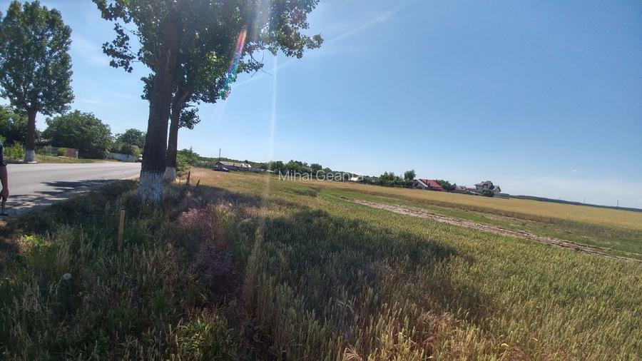 Vanzare teren Buftea | Strada Milano | Intravilan - 6