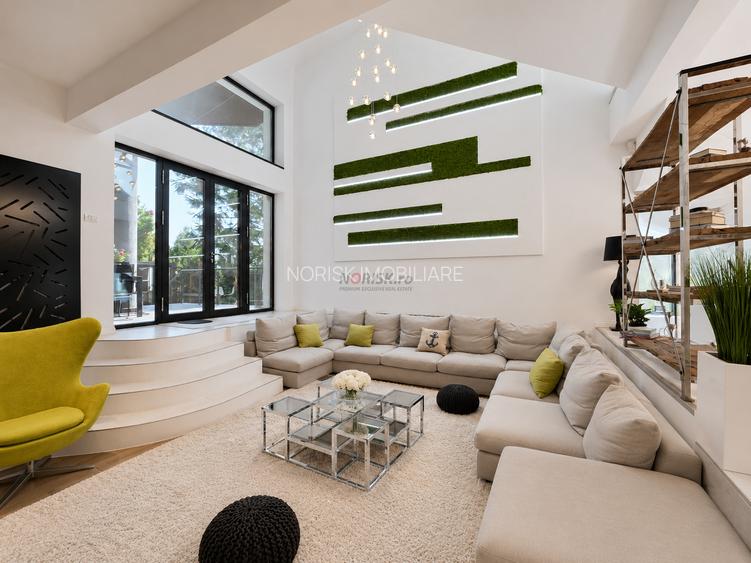 Lakefront Estate | 3.000 mp Teren | Ponton Privat | Snagov - 27
