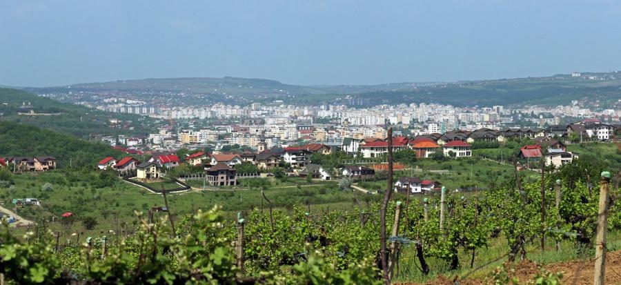 Teren de vanzare, Bucium- Dealu Craitelor 143, vecinatate cartier Panoramic