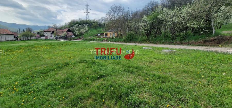 Teren de vis la liziera pădurii – liniște, natură și aer cur - 6