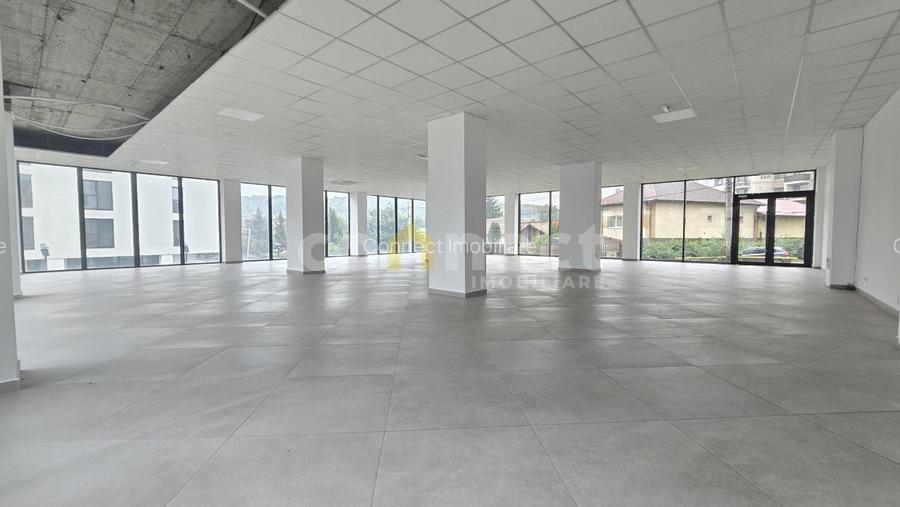 Spațiu comercial în zona Dambul Rotund I Taietura Turcului - 2