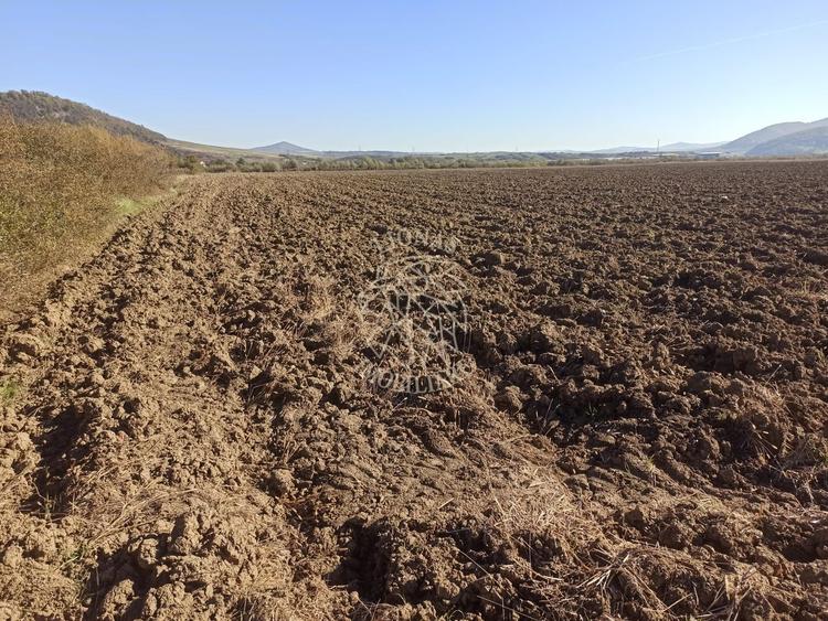 Teren 7500 mp-ideal agricultura, invetitie-Sarata