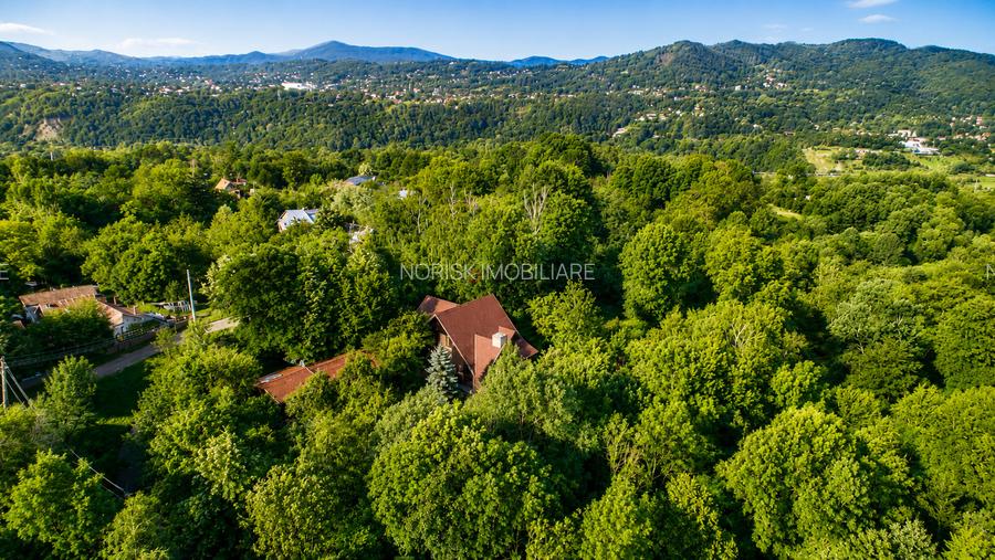 Mountain Chalet | Private Resort | Investment - Nistoresti - 1