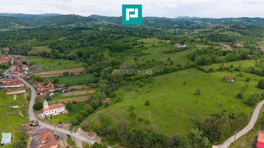Proprietate de poveste pe Valea Mureșului, Lupești - 4
