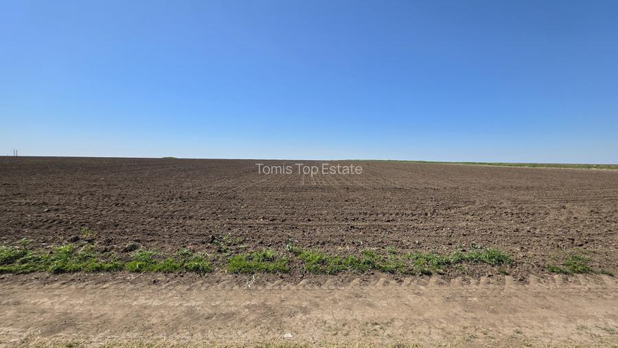 Teren extravilan in Corbu, 5000 MP, zona Plaja Corbu, doar 15 euro/mp - 3
