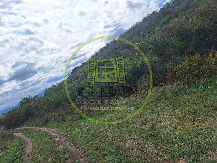 Teren extravilan 700mp in Gusterita.