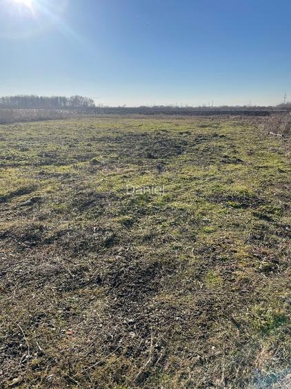 TEREN INTRAVILAN 608 MP – GHIRODA – ZONĂ FOARTE BUNĂ