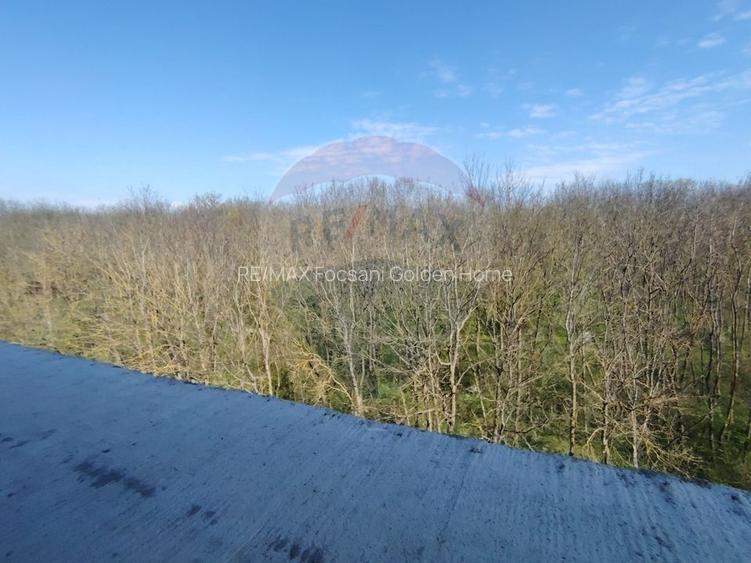 Apartament 4 camere CRANGUL PETRESTI. - 9