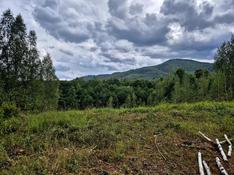 Cabana in mijlocul naturii/parau sezonier /locul de suflet la Sinca Noua/Brasov